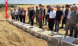 Adıyaman'da süne ve böceklere karşı doğal önlem: Bin kınalı keklik doğaya bırakıldı