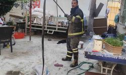 Evine Yılan Girdi, Ne Yapacağını Şaşırdı!