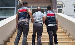 Şanlıurfa’da Firari Hükümlü Jandarma Operasyonuyla Yakalandı