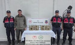 Sivas'ta Usulsüz Şekilde Ele Geçirilen 4 Kınalı Keklik Kurtarıldı