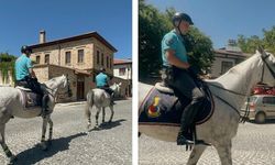 Tarihi sokaklarda asayiş onlara emanet: Harput'ta Atlı Jandarma Timi göreve başladı