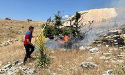 Adıyaman'da Korkutan Yangın: 50 Dönümlük Alan Kül Oldu