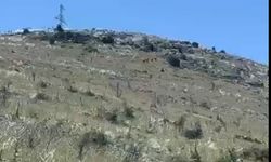 Malatya'da TOKİ'lerin Dibine Kadar İndiler! Görenler Şaşkınlığını Gizleyemedi