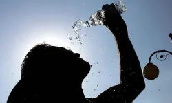 Dünya Sağlık Örgütü'nden korkutan uyarı! Küresel tehdit kapıda