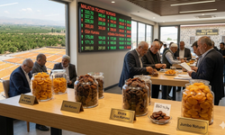 Malatya'da Kuru Kayısı Fiyatları Belli Oldu! Bazı Ürünler 860 TL'yi Gördü