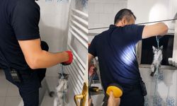 Malatya’da Yürek Isıtan Anlar: Apartman Boşluğundaki Yavru Kedi Böyle Kurtarıldı
