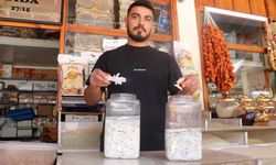 Altınla Yarışıyor: Sivas’ta Zahmetle Üretilen Kenger Sakızına Yoğun İlgi