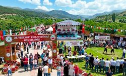 Malatya’da 28. Kiraz Festivali İçin Geri Sayım! Ünlü İsimler ve Renkli Etkinlikler Belli Oldu