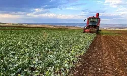 Malatya Türkiye'nin İlk 5'inde : 163 Milyon TL