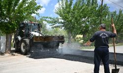 Yeşilyurt'ta 'Asfalt Yılı' Seferberliği: Topsöğüt Modern Yollara Kavuşuyor