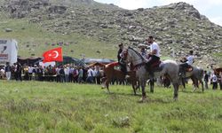 11. Drejan Aşireti Şenlikleri Malatya'da coşkuyla kutlandı