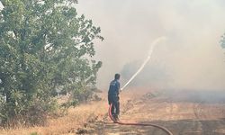 Malatya'da Korkutan Gelişme: Pütürge'de Orman Yangını Yeniden Alevlendi