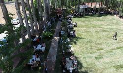 Hekimhanlılar Yaz Etkinliğinde Bir Araya Geldi: Binlerce Kişi Aynı Sofrada Buluştu