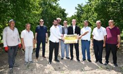 Kayısıda Kritik Dönemeç! Karademir'den Malatya İçin "Yeniden Kurulsun" Çağrısı!