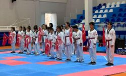 Kayseri'de 300 Sporcu Tatamiye Çıktı