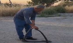 Çarmuzu’da "Yılan Avcısı" Muhtar: Evlere giren dev yılanları eliyle yakalayıp doğaya salıyor!