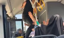 Otobüste Tekmeli, Yumruklu Kavga