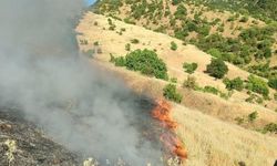 Malatya Doğanyol'da korkutan orman yangını! Çok sayıda ekip sevk edildi