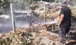 Dicle’de Yürek Yakan Yangın: Çok Sayıda Meyve Ağacı Zarar Gördü