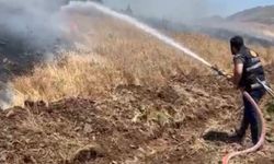 Elazığ'da Rüzgarın Büyüttüğü Yangın Tarım Arazilerini Vurdu