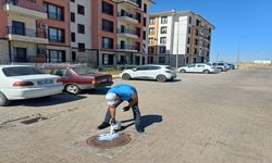 Haşereler Daha Çıkmadan Müdahale Ediliyor! Adıyaman’da TOKİ Mesaisi