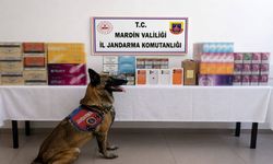 Mardin’de Milyonluk Operasyon! Depodan Çıkanlar Şaşırttı
