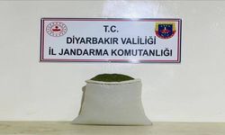 Diyarbakır'da Narkotik Operasyonu! 144 Kilo Esrar Ele Geçirildi