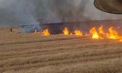 Diyarbakır’da Korkutan Yangın! Silvan’da 5 Bin Dönüm Arazi Küle Döndü