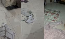 Şok İddia! Malatya'daki Fırında Böcek Görüntülendi, Mahalle Ayağa Kalktı