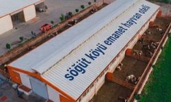 Malatya'ya Hayvan Oteli Kuruluyor! Gurbetçilerin Büyük Sorununa Çözüm Olacak