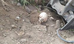 Malatya'da Bir Mağarada İnsan Kemikleri Bulundu