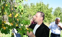 "Üretici Bu Şartlarda Ayakta Kalamaz"