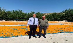 Malatya'da Kayısı Bahçelerine Yakın Takip! İl Müdürü Üreticilerle Sahaya İndi