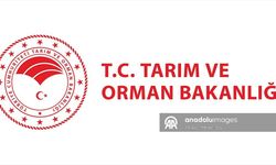 Tarım ve Orman Bakanlığı 1874 Personel Alacak! İşte Kadro Dağılımı