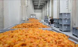 Malatya’da Kayısını Satmayan Üreticiye Yeni Yol! Başkan Özcan Tek Tek Anlattı