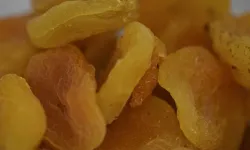Malatya Kayısısı Yine Zirvede! Türkiye'ye Milyonlarca Dolar Kazandırdı