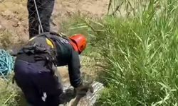 Su Kuyusuna Düşen Köpek İşte Böyle Kurtarıldı