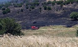 Malatya'da Korkutan Orman Yangını! Alevlere Anında Müdahale Edildi