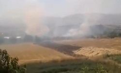 Elazığ'da Korkutan Otluk Alan Yangını! Ekiplerin Hızlı Müdahalesiyle Alevler Kontrol Altına Alındı