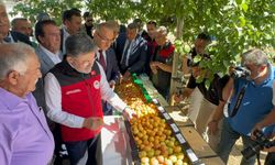 Malatya'da Kayısı Hasadı Başladı! Bakan Yumaklı'dan Üreticilere Önemli Mesaj