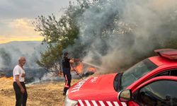 Malatya’da Besi Alanında Korkutan Yangın! Alevler Bir Anda Yükseldi!