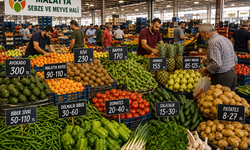 Malatya Hal Fiyatları Güncellendi: İşte En Pahalı Ürün ve Kayısının Fiyatı...