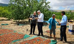 Hekimhan’da Selin Tarım Arazilerinde Bıraktığı Hasar Ortaya Çıkıyor!