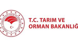 Tarım ve Orman Bakanlığı 1.874 personel alımı sonuçları için gözler Bakanlıkta: Sonuçlar ne zaman açıklanacak?