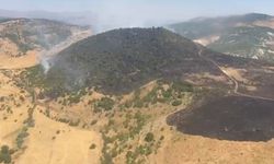 Elazığ’da Büyük Yangın Paniği! 350 Dönümlük Alan Kül Oldu
