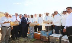 Malatya Büyükşehir Belediye Başkanı Sami Er, Sincik’te Bal Hasadına Katıldı