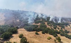 Tunceli’de Orman Yangını Alarmı! Havadan ve Karadan Müdahale Sürüyor