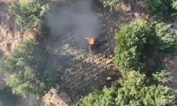 Diyarbakır’da Dev Uyuşturucu Operasyonu! 247 Bin Kök Tek Tek İmha Edildi