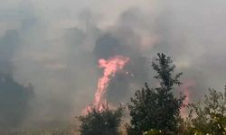 Diyarbakır'da 400 Dönümlük Alan Küle Döndü! Korkutan Yangın Güçlükle Söndürüldü