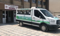Elazığ-Bingöl Yolunda Feci Kaza! 2 Ölü